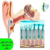 درمان کم شنوایی با سلول های بنیادی
